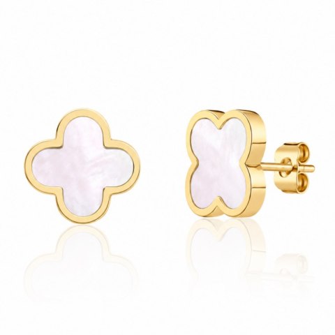 Kolczyki ze stali szlachetnej platerowane 14k złotem, Koniczynka masa perłowa 13 mm KST3602